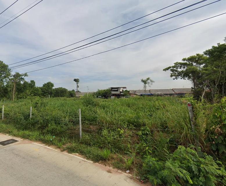 ขายที่ดินพัทยาหนองปรือ 1 ไร่ ติดถนน2ด้านซอยหนองไม้แก่น17 อ.บางละมุง ชลบุรี