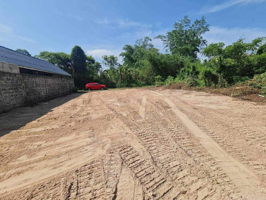 ขายที่ดินหนองปรือ พัทยา 80 ตรว. ซอยพรประภานิมิตร26 ใกล้อ่างเก็บน้ำมาบประชัน-4กม. อ.บางละมุง ชลบุรี 4