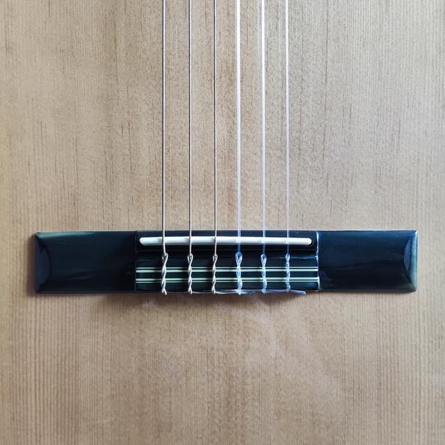 กีต้าร์คลาสสิคไฟฟ้าลำตัวบาง Paramount C551BCEQN รูปที่ 10