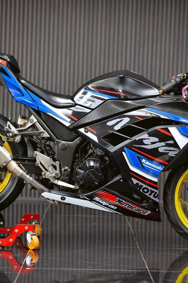 Ninja300 7