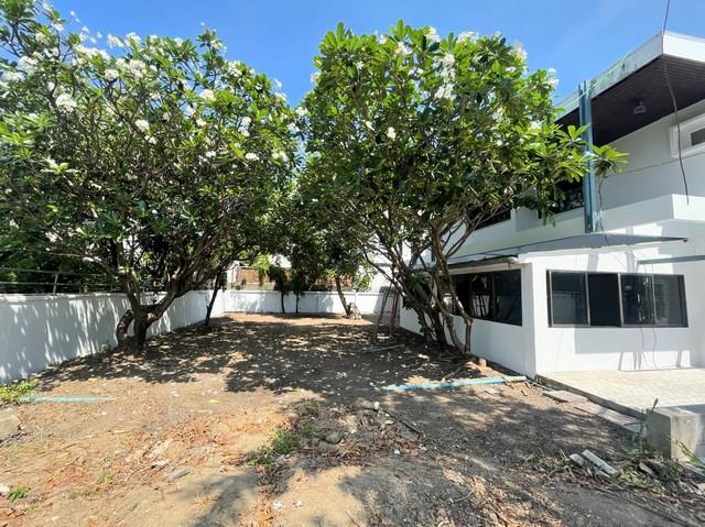 P555 ให้เช่า บ้านเดี่ยว ซอยรัชดาภิเษกซอย 19 วิภาวดีรังสิต 16 ใกล้ MRT รัชดา เดินทางสะดวก บ้านมีพื้นที่มีสวนบรรยากาศร่มรื่น 2