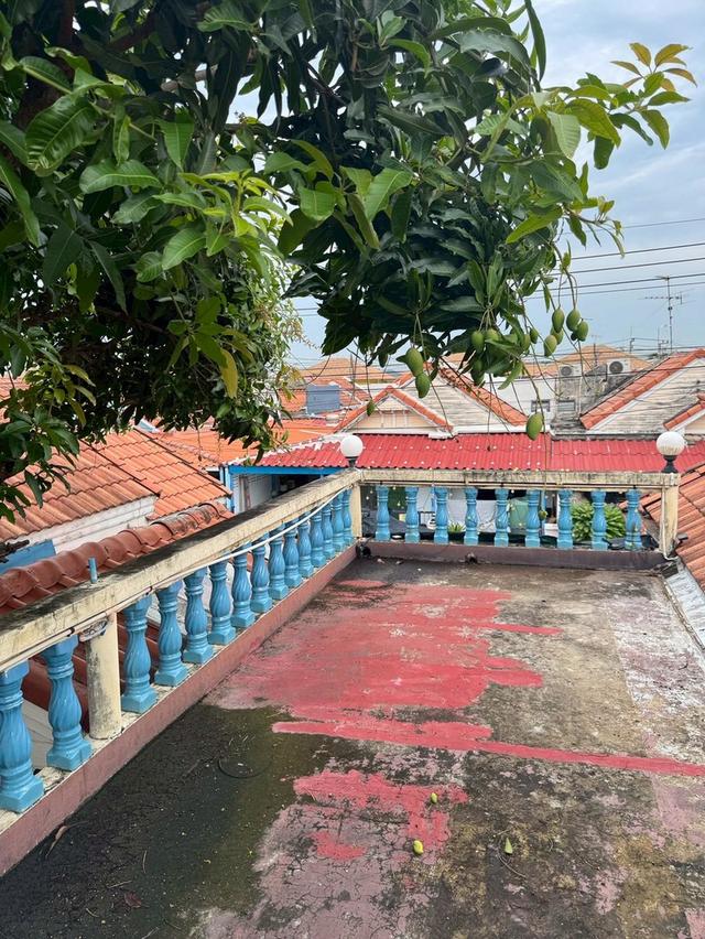 ขาย ทาวน์เฮ้าส์ ชั้นเดียว 60.2 ตรว.2 หลังทำทะลุเป็นหลังเดียว หมู่บ้านวรารักษ์ รังสิต - คลองสาม คลองหลวง ปทุมธานี 4