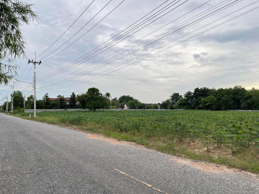 ขายที่ดินหนองเหียง พนัสนิคม 3 ไร่ บ้านไทรคู่ซอย13 ใกล้ถนน3086-1กม. อ.พนัสนิคม จ.ชลบุรี 2