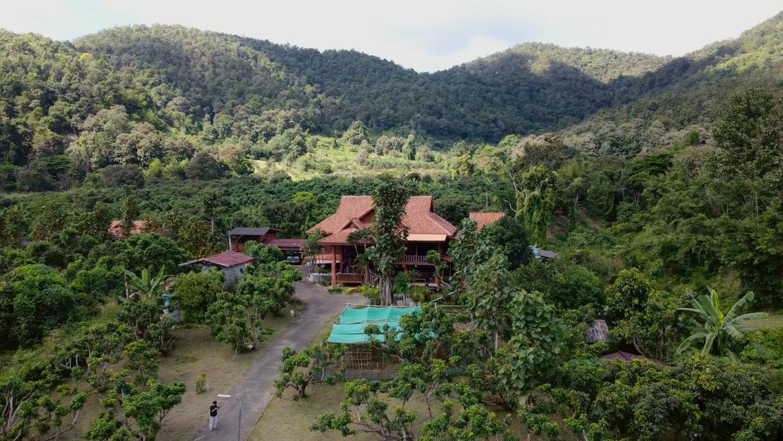 ขายบ้านสวนไม้สักทรงไทย ท่ามกลางธรรมชาติและวิวภูเขาล้อมรอบ 10,000,000 บาท จังหวัดเชียงใหม่ 2