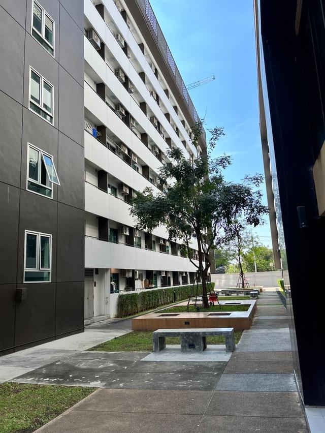 Plum Condo Phaholyothin 89 พลัมคอนโด พหลโยธิน 89, ปทุมธานี 22.52 ตรม. 5
