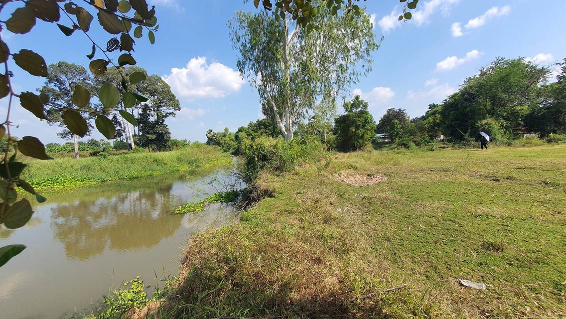 ที่ดิน บ้านโข้ง อู่ทอง สุพรรณบุรี 1