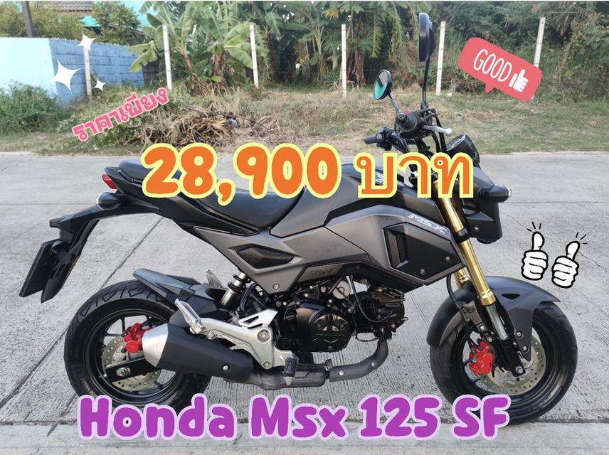   Honda Msx 125 SF 1