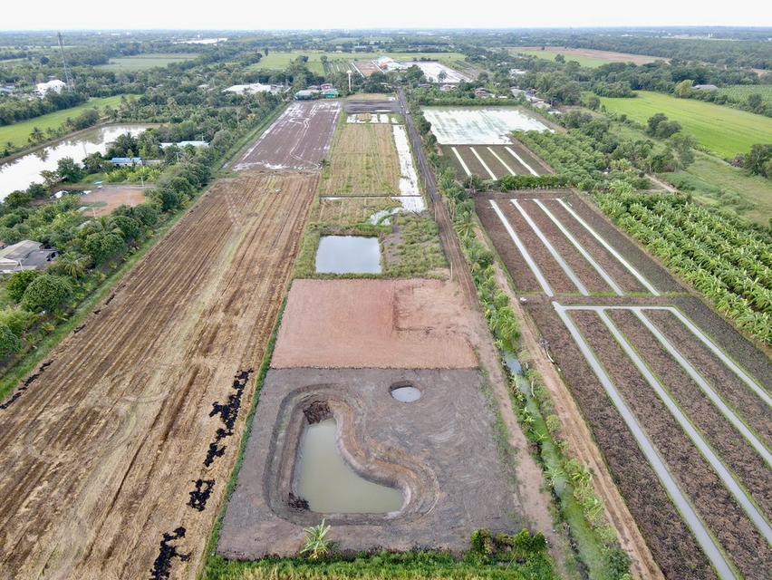 ที่ดินผ่อนสบาย ทำบ้านสวนหรือเกษตรก็เหมาะ ทำเลคลอง 11 อำเภอหนองเสือ จังหวัดปทุมธานี 3