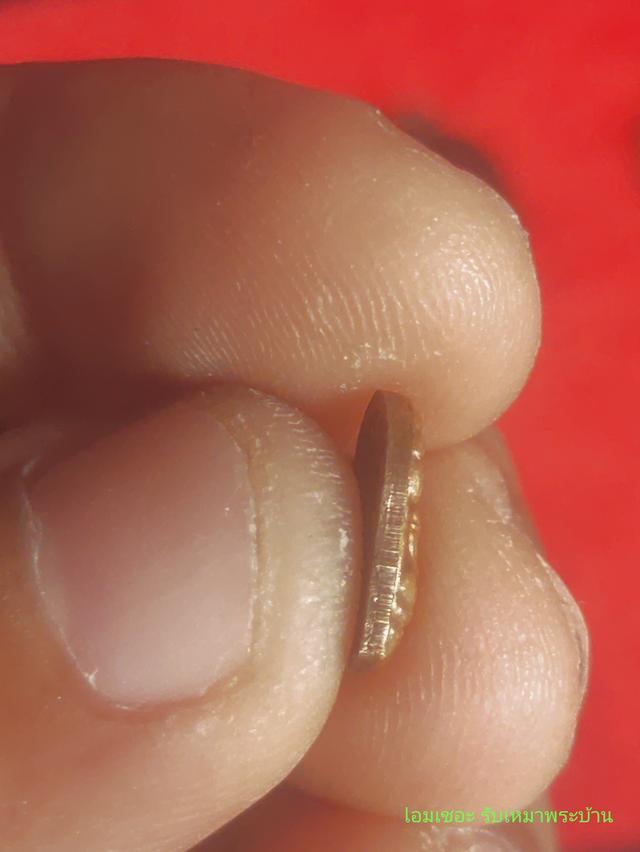 ปรกมะขาม 4