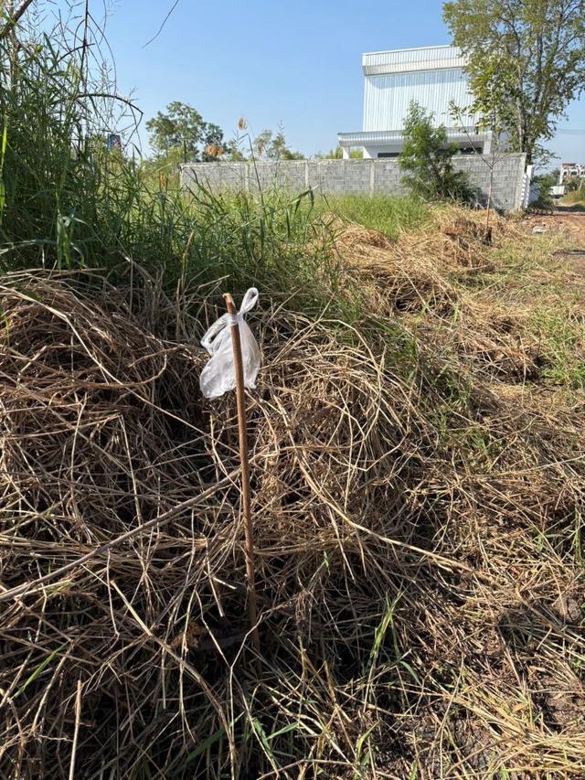 ขายที่ดินถมแล้ว 2 แปลงติดกัน พร้อมโฉนด คลอง 5 ธัญบุรี 2 งาน 80 ตรว. เข้าออกได้ 2 ทาง ใกล้มอเตอร์เวย์ ฟรีโอน 6