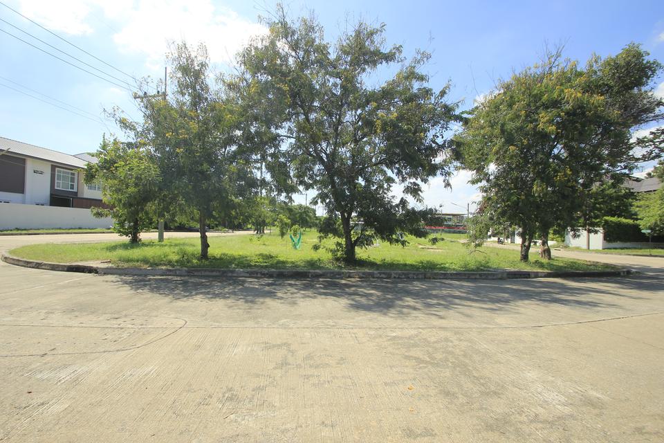 ที่ดินพระราม2 สารินซิตี้บ้านเมฆา โรงเรียนอัสสัมชัญพระราม2 วัดพันท้ายนรสิงห์ ที่ดินสร้างบ้านติดถนนเมน2ด้าน 130.3 ตร.ว ขายต่ำกว่าราคาประเมิน 22,000/วา 11