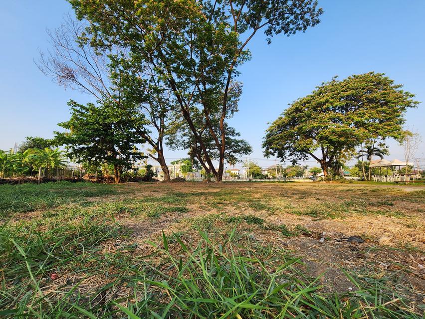 ที่ดินเปล่า 220ตรว. ริมคลองทวีวัฒนา กรุงเทพ 8