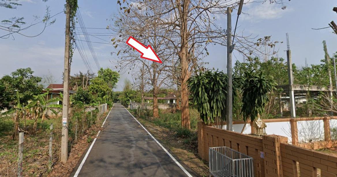 ขายที่ดินพร้อมโครงสร้าง ต.สันทราย เชียงใหม่ 4