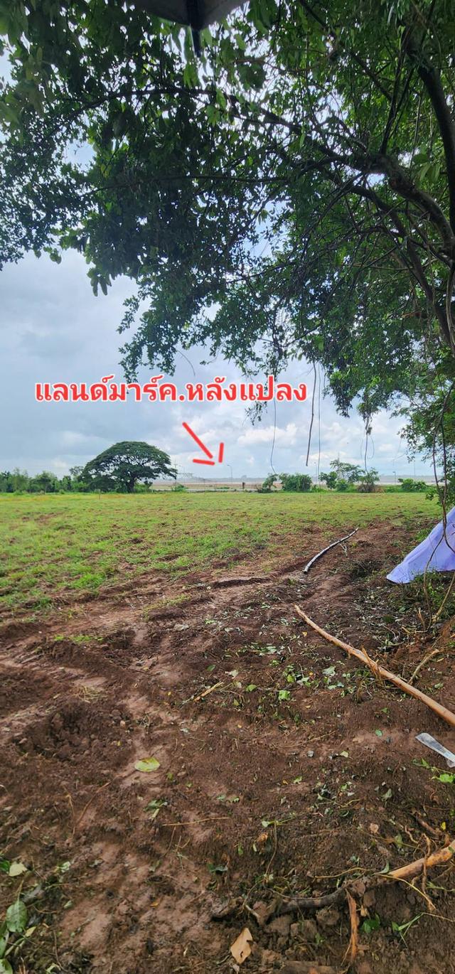 ที่สวยทำเลดี ติดกับแลนด์มาร์คใหม่ของคนขอนแก่น 14