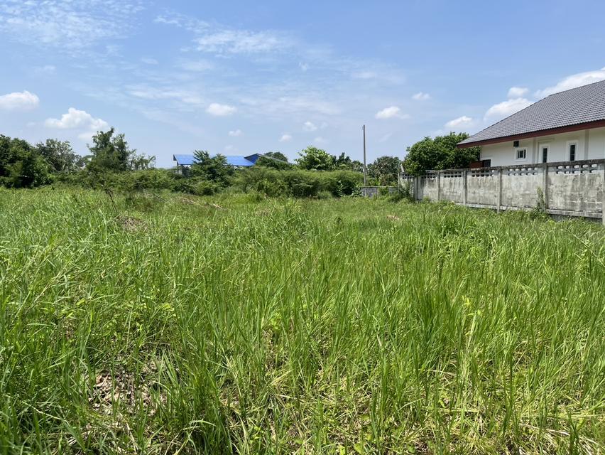 ขายที่ดิน 2 ไร่ ถมแล้ว ใกล้สนามกอล์ฟ รร.จปร. ต.พรหมณี หน้ากว้าง 40 เมตร เห็นวิวเขาชัด 15