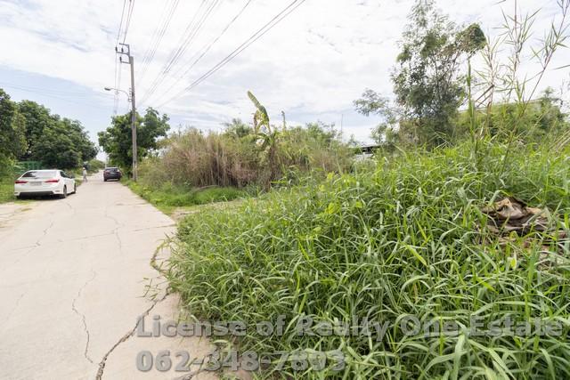 ขายที่ดิน ถมแล้ว แปลงสวย ถ.บ้านกล้วย อ.ไทรน้อย จ.นนทบุรี 6