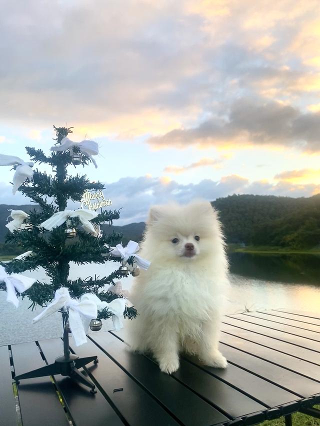 ปอม ชายจริงหญิงแท้ น่ารักๆ 7