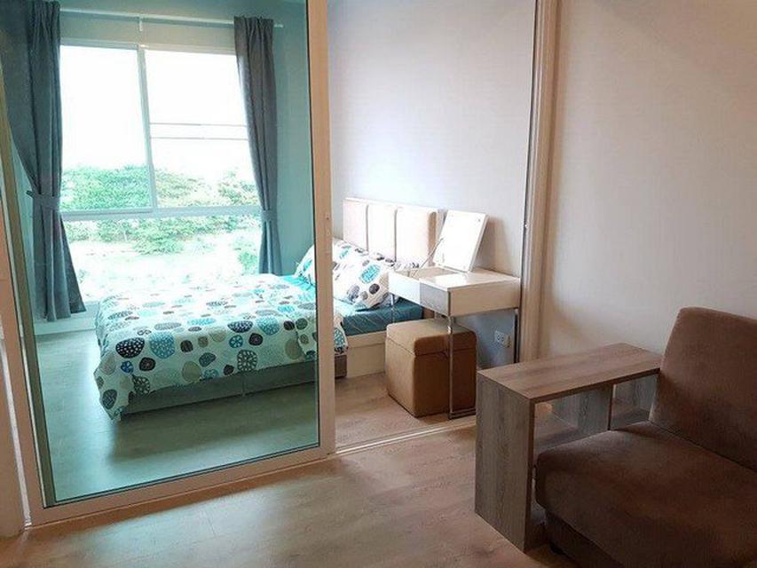 For Rent Zelle Salaya (W037) (Agent Post) ENNXO