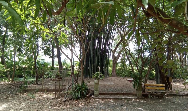 ขายที่ดิน 2 ไร่พร้อมบ้าน 2