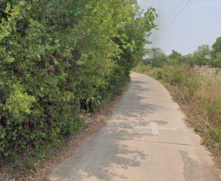 ขายที่ดินบ้านซ่อง 3 ไร่ ติดถนนคอนกรีต ติดฝายน้ำใกล้ถนนสี่เลน319-500เมตร อ.พนมสารคาม ฉะเชิงเทรา 1