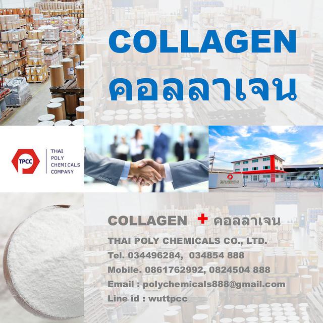 คอลลาเจนผง, ผงคอลลาเจน, Collagen Powder, Powdered Collagen 1