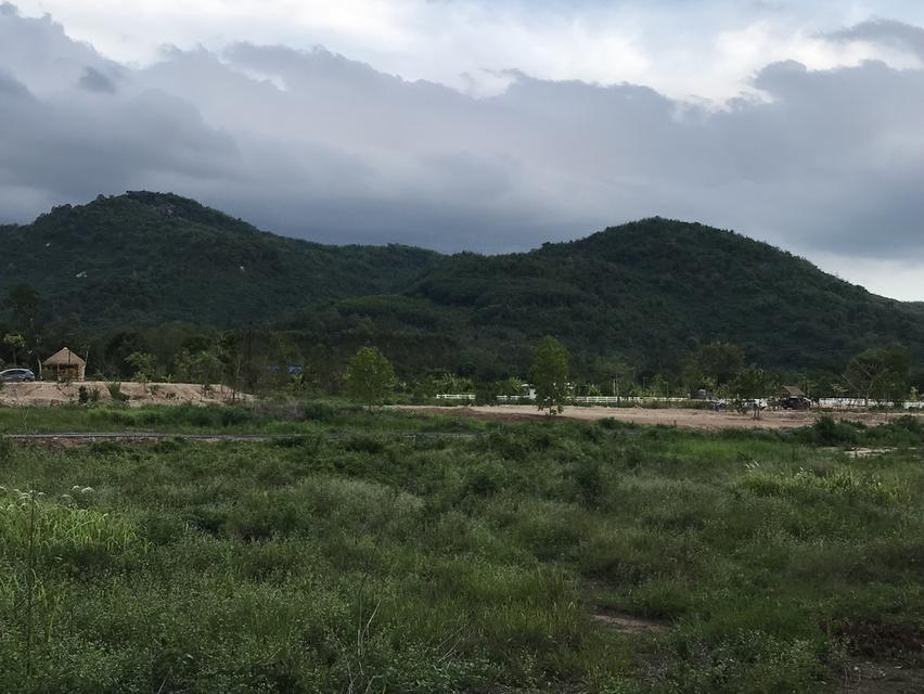 ที่ดิน ราคาถูก ๆราคานี้ หาไม่ได้เเล้ว  โฉนดครุฑเเดง 6