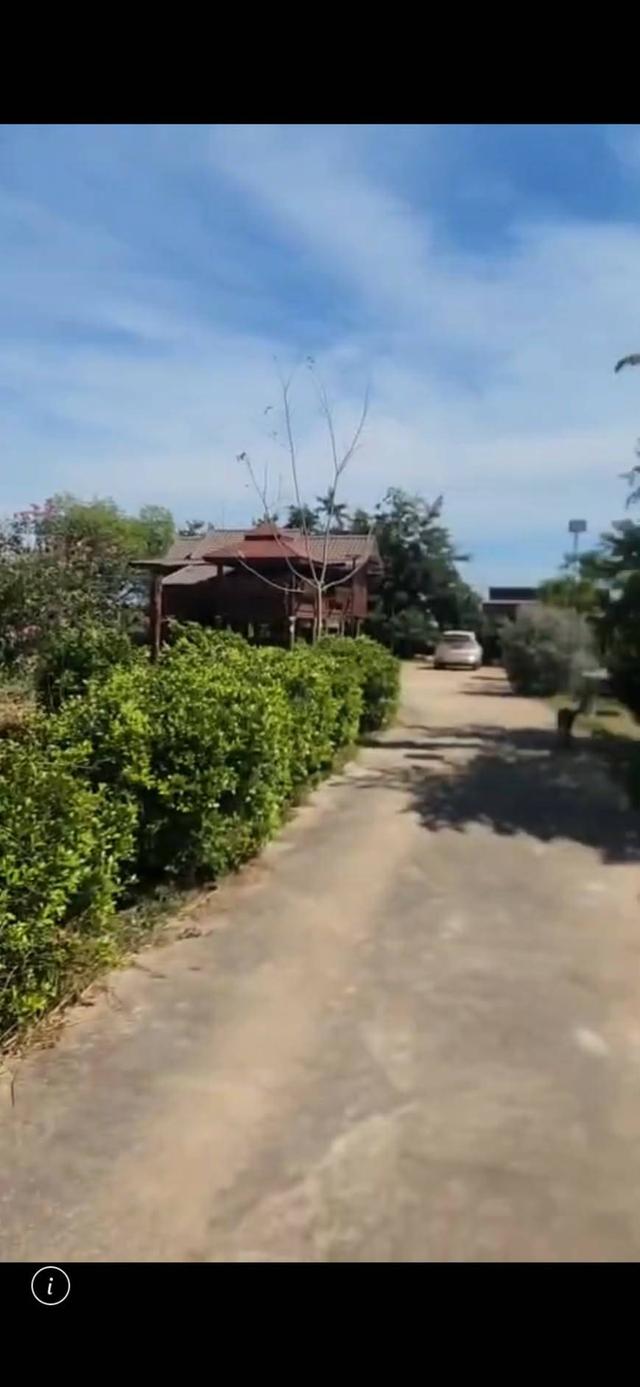 ที่ดินพร้อมบ้านสวนลักษณะเป็นบ้านสวนพร้อมเข้าอยู่พื้นที่ 5 ไร่ มีสาธาณูปโภคครบ 1