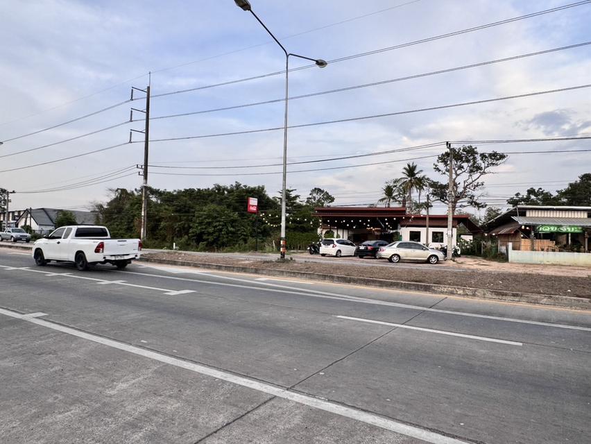 ขายที่ดินติดถนนอุบล-ตระการ บ้านปลาดุก ต.ไร่น้อย จังหวัดอุบลราชธานี (N.1700) 4