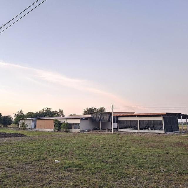 ที่ดินพร้อมจริงปลูกสร้าง 15