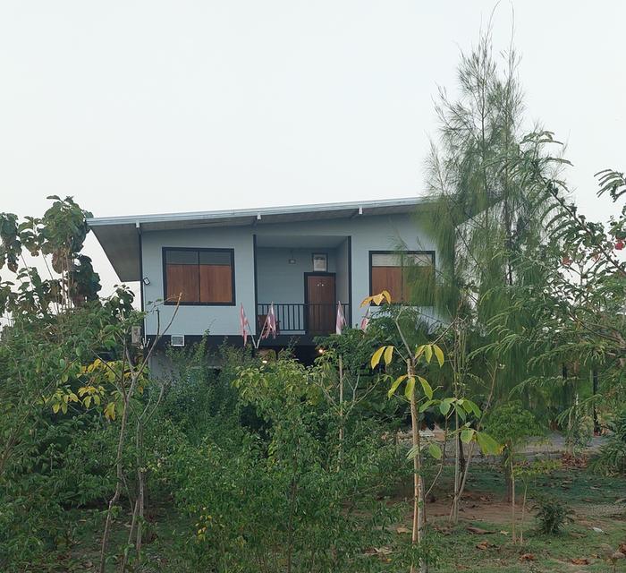 ที่ดินสองไร่พร้อมบ้านสวน 20