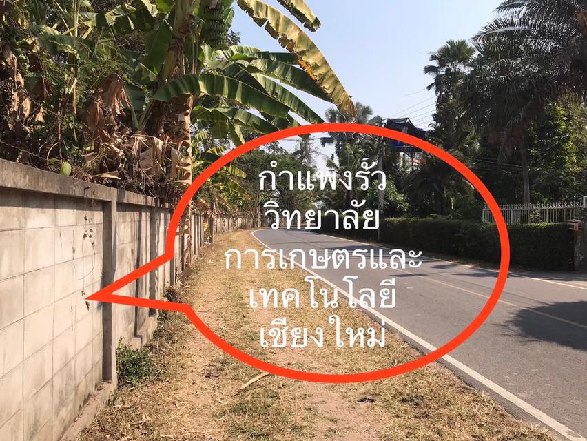 ที่ดินสันป่าตอง เชียงใหม่ ทำโรงงานบางชนิดได้ เป็นพื้นที่สีชมพู 13