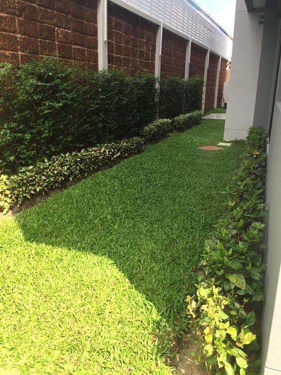 ขาย/ให้เช่า บ้านใหม่ 2 ชั้น Bangkok Boulevard เทพารักษ์–วงแหวน สไตล์โมเดิร์น แอร์ครบ เฟอร์ครบ เข้าอยู่ได้ทันที 9