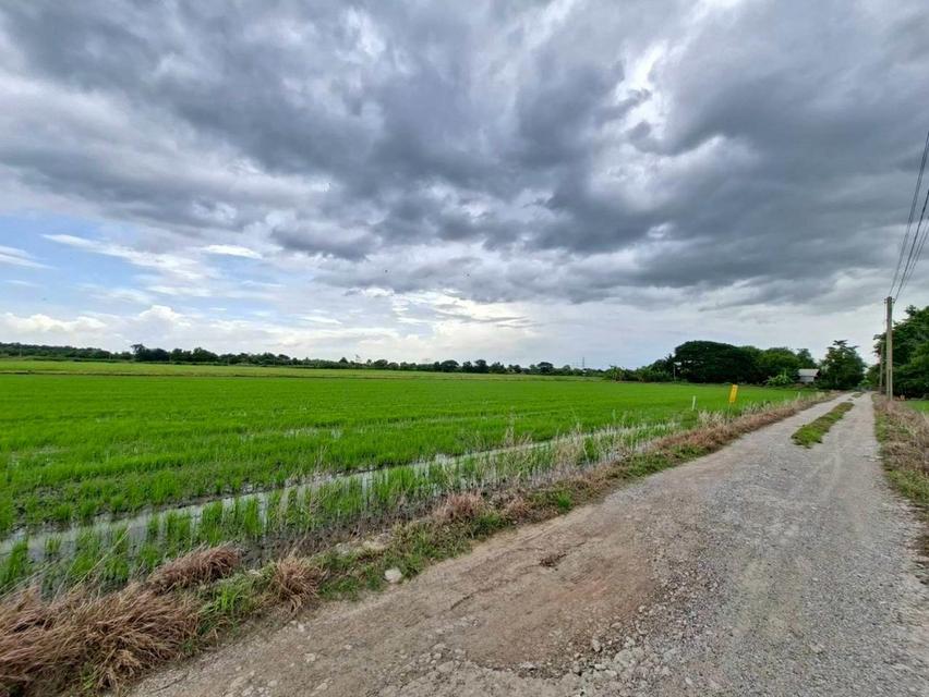 ขายที่ดินเปล่า ซอยคลองสิบ-สิบสี่ 7 หนองจอก 2