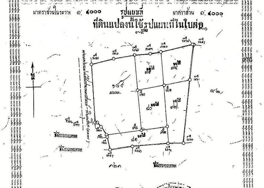 ขายที่ดินถูกที่สุด 77 ไร่ ที่ดินศักยภาพสูง ติดทางหลวงแผ่นดิน 117 เก้าเลี้ยว นครสวรรค์ 5