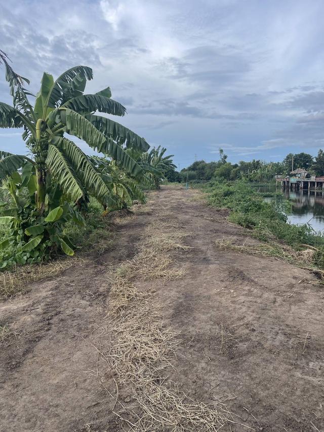 ที่ดิน จังหวัด นครปฐม 6