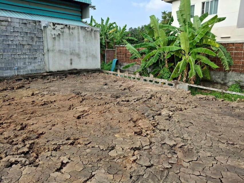 ให้เช่าที่ดินเลียบคลองสอง เขตสายไหม กทม. 1