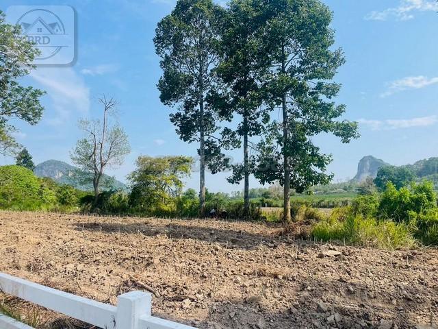 ขายที่ดินทำเลทอง พัทยา-เขาชีจรรย์ เนื้อที่ 10-1-69 ไร่ ขายไร่ละ 7 ล้านบาท บางละมุง ชลบุรี 6