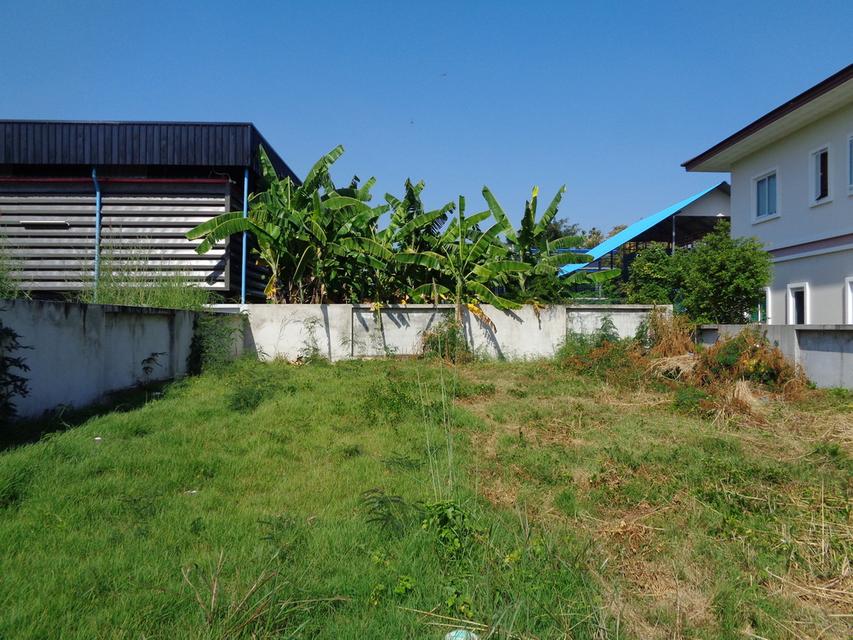 🚩 ขายที่ดินแปลงหัวมุม 129 ตารางวา ราคาถูกสุด❗ ทำเลดี ภายในโครงการหรูมีระดับ 19