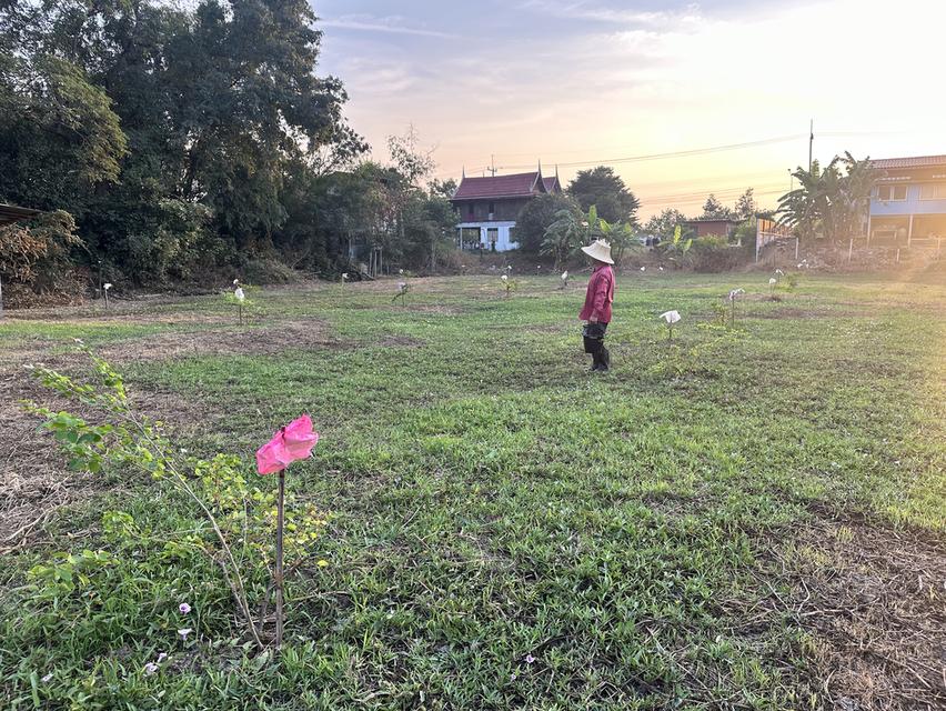 ขายที่ดิน 1 ไร่ (400 ตร.วา) ต.สวนพริก พระนครศรีอยุธยา 6