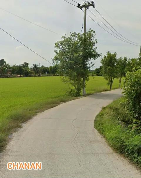 ขายที่ดิน ถ.3006ใกล้โรงสีข้าวมูลนิธิชัยพัฒนา อ.ลาดบัวหลวงจ.พระนครศรีอยุธยา เนื้อที่17ไร่181ตรว 2