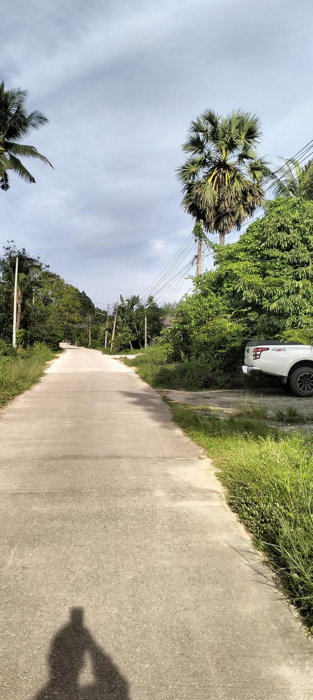 ที่ดินเปล่าทำเลทองติดถนน 3