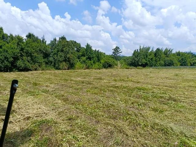 ใกล้นิคมอุตสาหกรรม WHA 3.1 ชลบุรี 900 ม. อบต.หนองเสือช้าง 1.7 กม. ให้เช่าที่ดินถมแล้ว 3 ไร่ 47ตร.ว. หลังติดลำห้วยมีน้ำตล 7