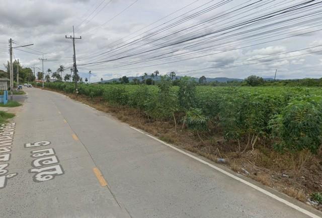 ให้เช่าที่ดินสีม่วงลาย43ไร่ย่านหนองค้อศรีราชาชลบุรีติดถนน331ใกล้ท่าเรือแหลมฉบัง ตรงข้ามกับนิคมอุตสาหกรรมปิ่นทอง2 4