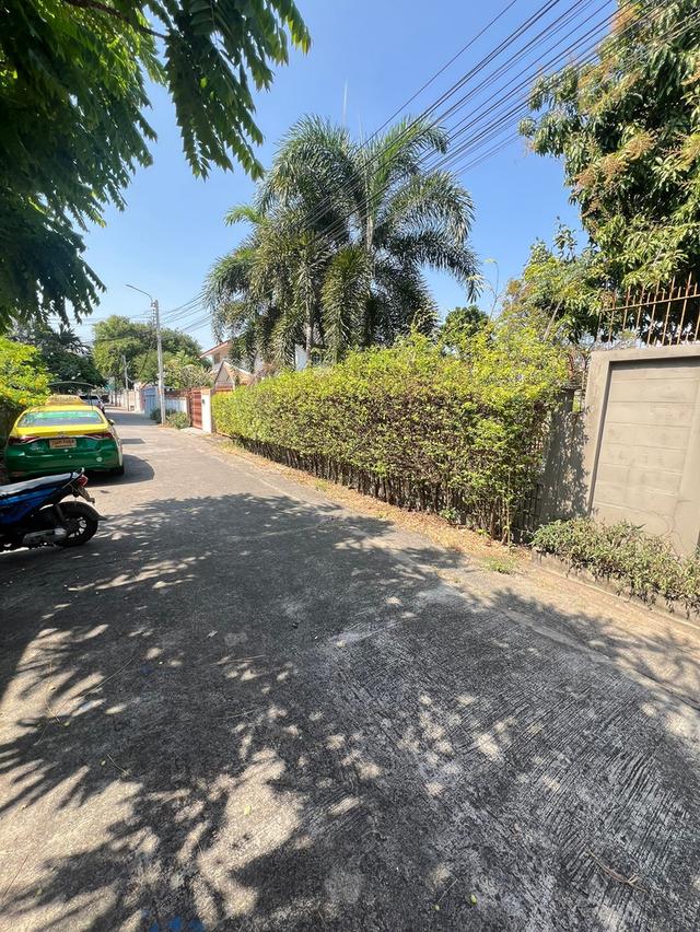 ขายที่ดิน 103วา บนถนนลาดพร้าวใกล้บางกะปิ แนวรถไฟฟ้าสีเหลือง 2