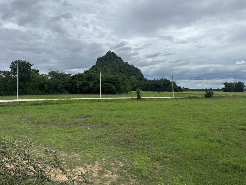 ที่ดิน ท่ายาง จ.เพชรบุรี 10