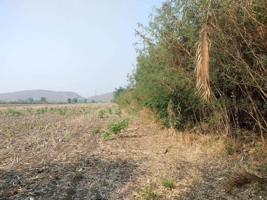 ขายที่ดินสวย ทำเลทอง ติด 4 เลน ตากฟ้า นครสวรรค์ 2