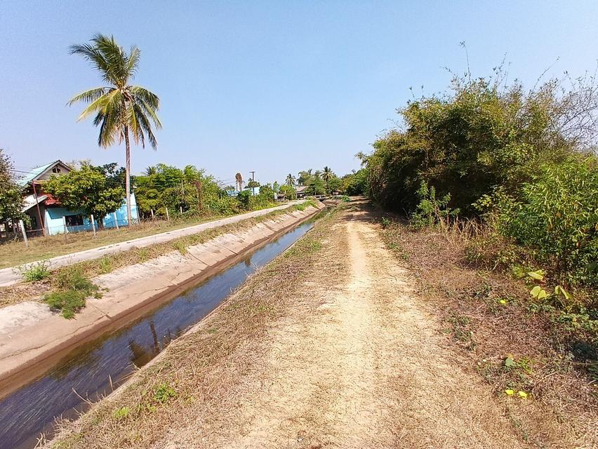 ขายที่ดิน ติดอ่าง ติดกังหันลม มีน้ำผ่านตบอดปี 11