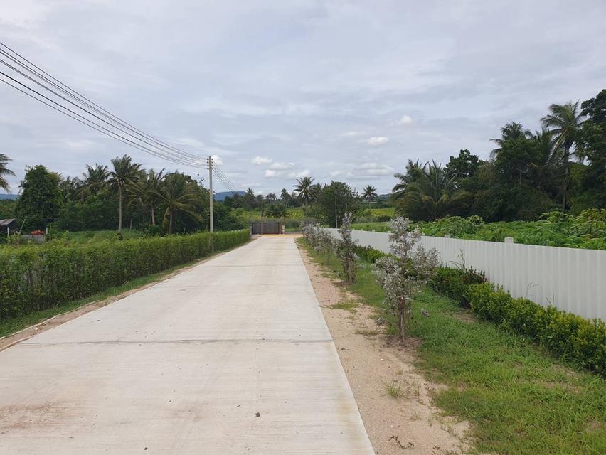 ที่ดิน ปากช่อง เขาใหญ่ โฉนดครุฑแดง 8