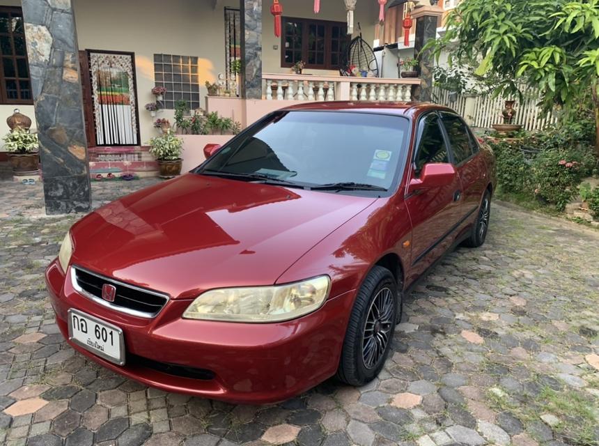 honda accord