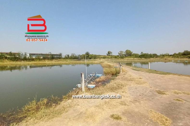 ที่ดิน ซอยโรงหลวง (ใกล้ห้างตะวันออกคอมเพล็กซ์) เนื้อที่ 9 ไร่ 1 งาน 67 ตรว. ตำบลหนองตีนนก อำเภอบ้านโพธิ์ ฉะเชิงเทรา 2